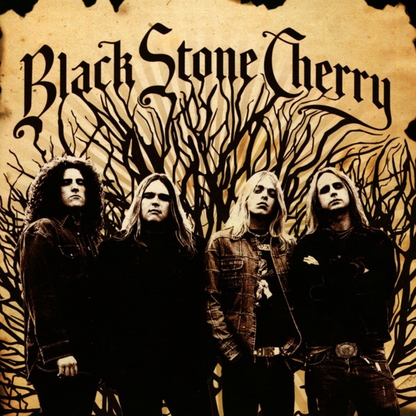 Black Stone Cherry High Quality Background on Wallpapers Vista