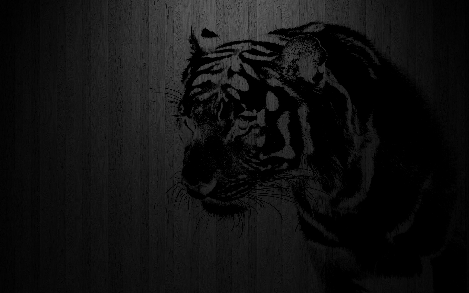 Black Tiger High Quality Background on Wallpapers Vista