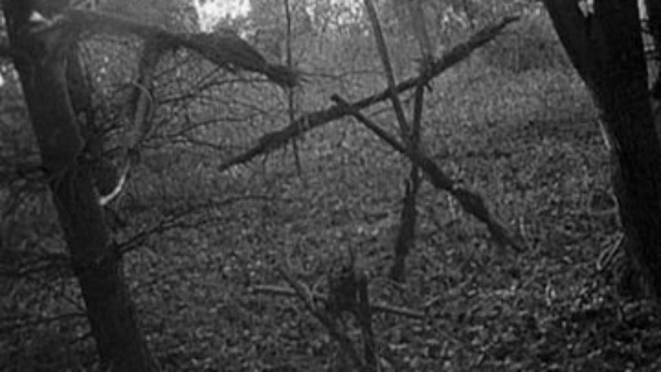 The Blair Witch Project High Quality Background on Wallpapers Vista