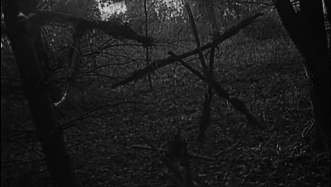 High Resolution Wallpaper | The Blair Witch Project 1280x723 px