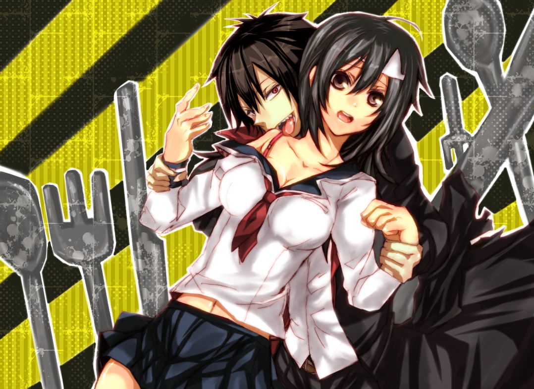 HD Quality Wallpaper | Collection: Anime, 1078x785 Blood Lad