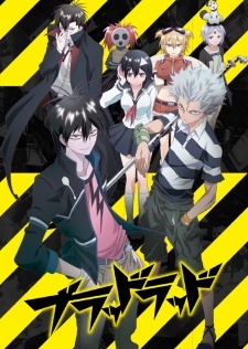 Nice Images Collection: Blood Lad Desktop Wallpapers