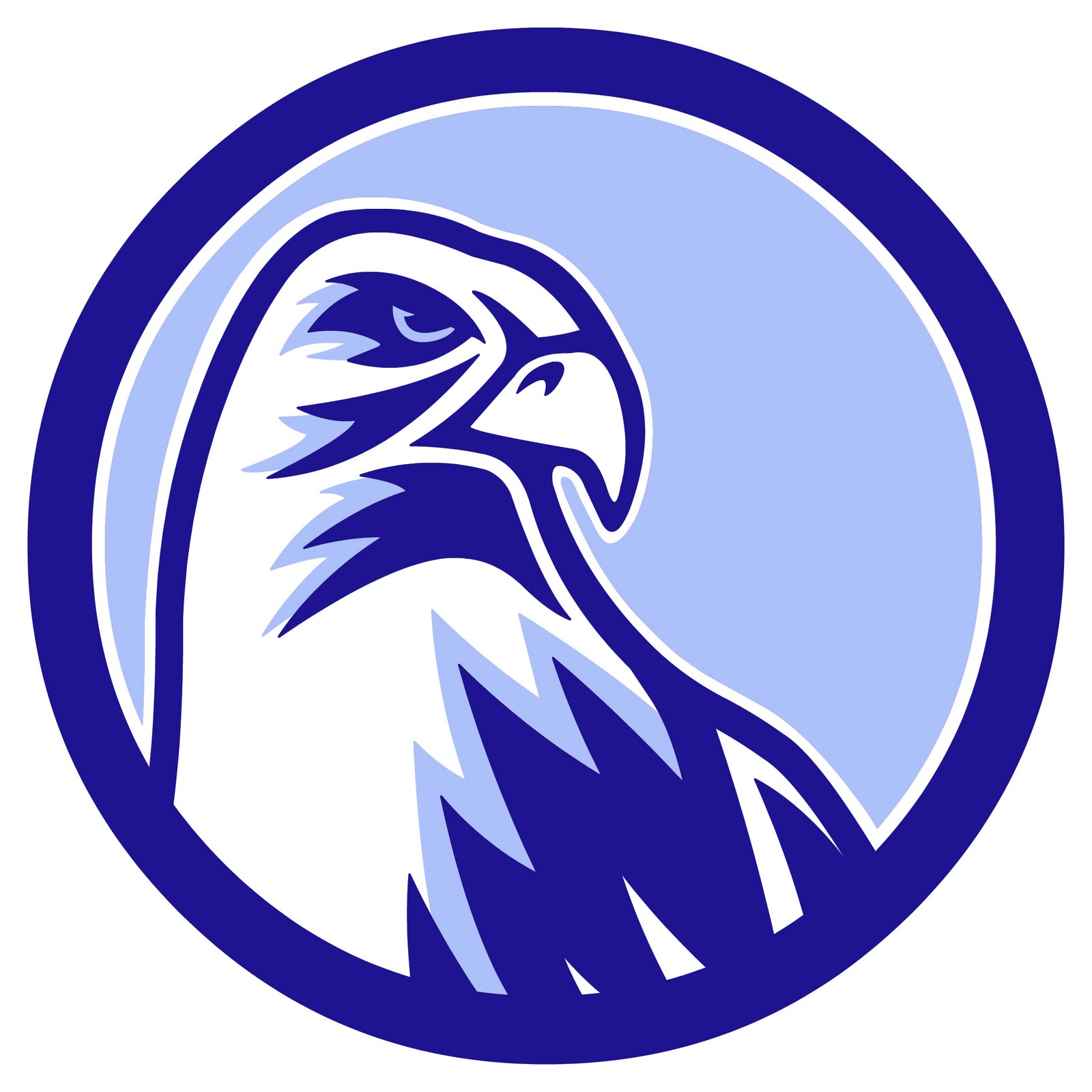 Blue Falcon #6