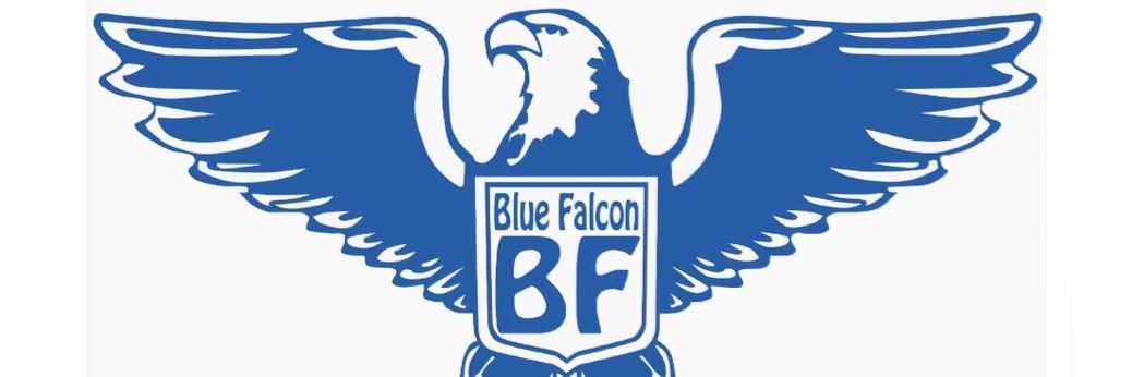 Blue Falcon #15