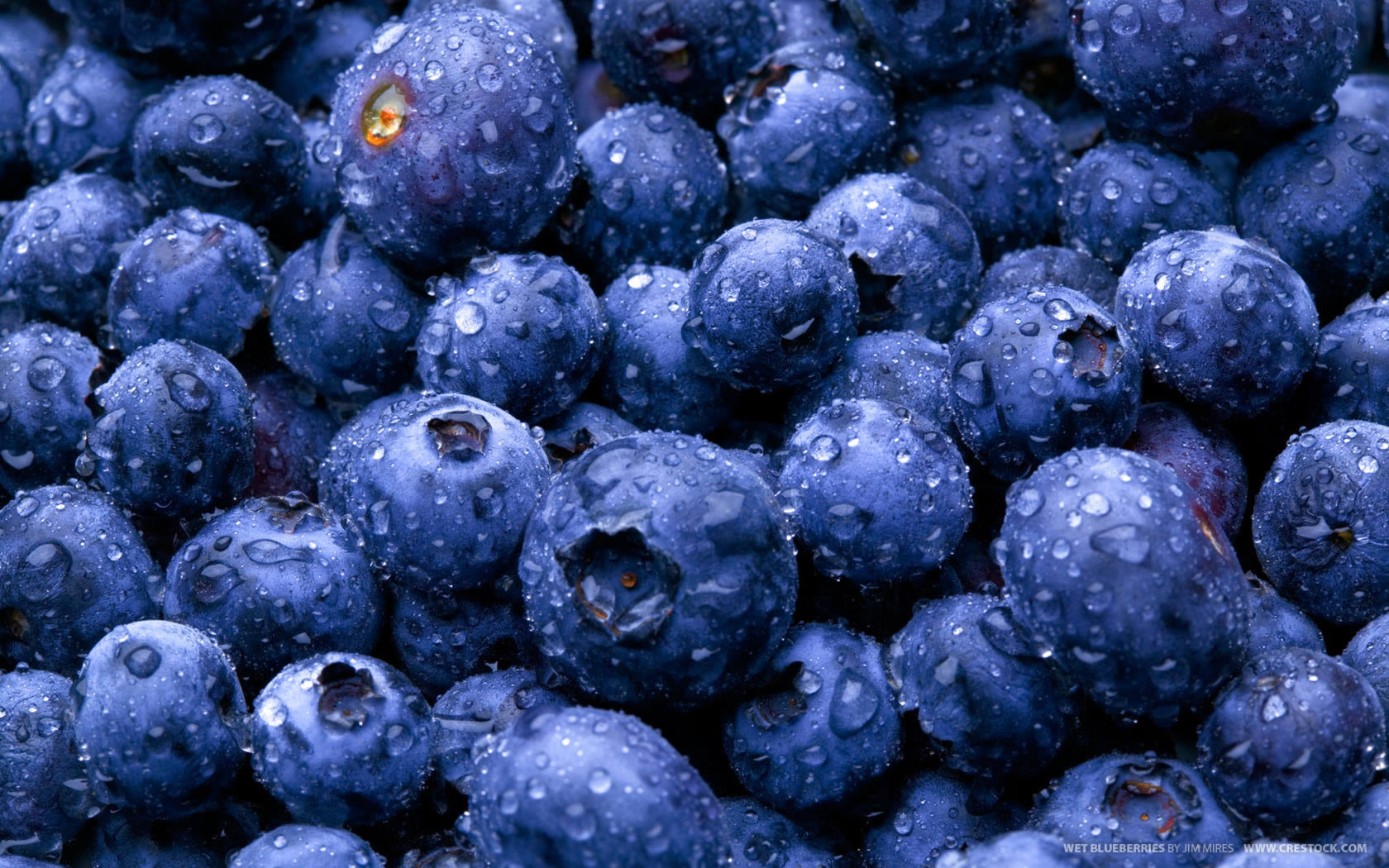 HQ Blueberry Wallpapers | File 346.06Kb