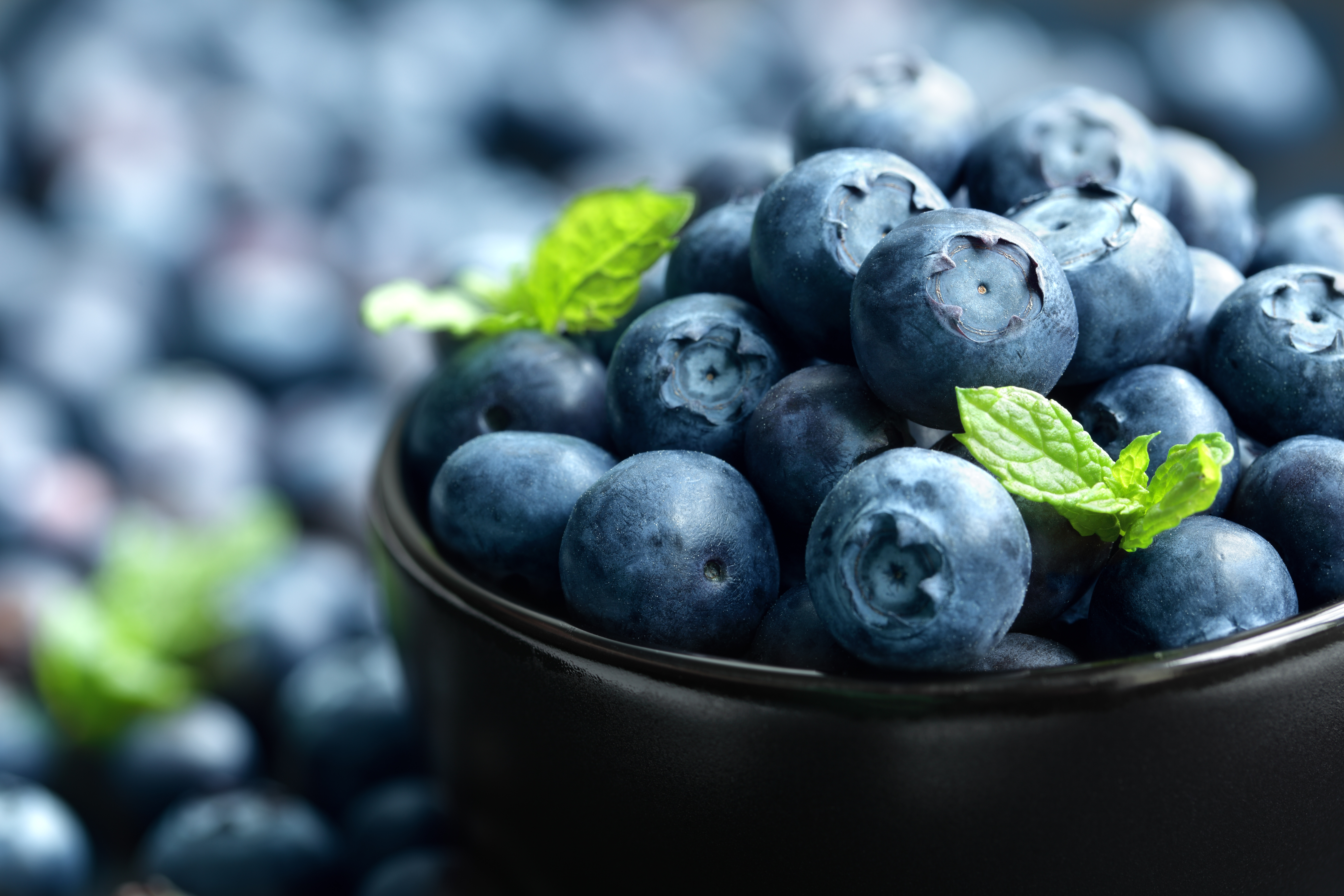 5616x3744 > Blueberry Wallpapers