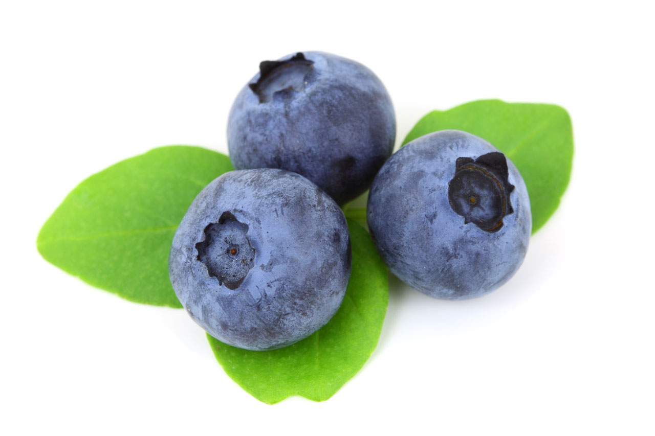 1280x853 > Blueberry Wallpapers