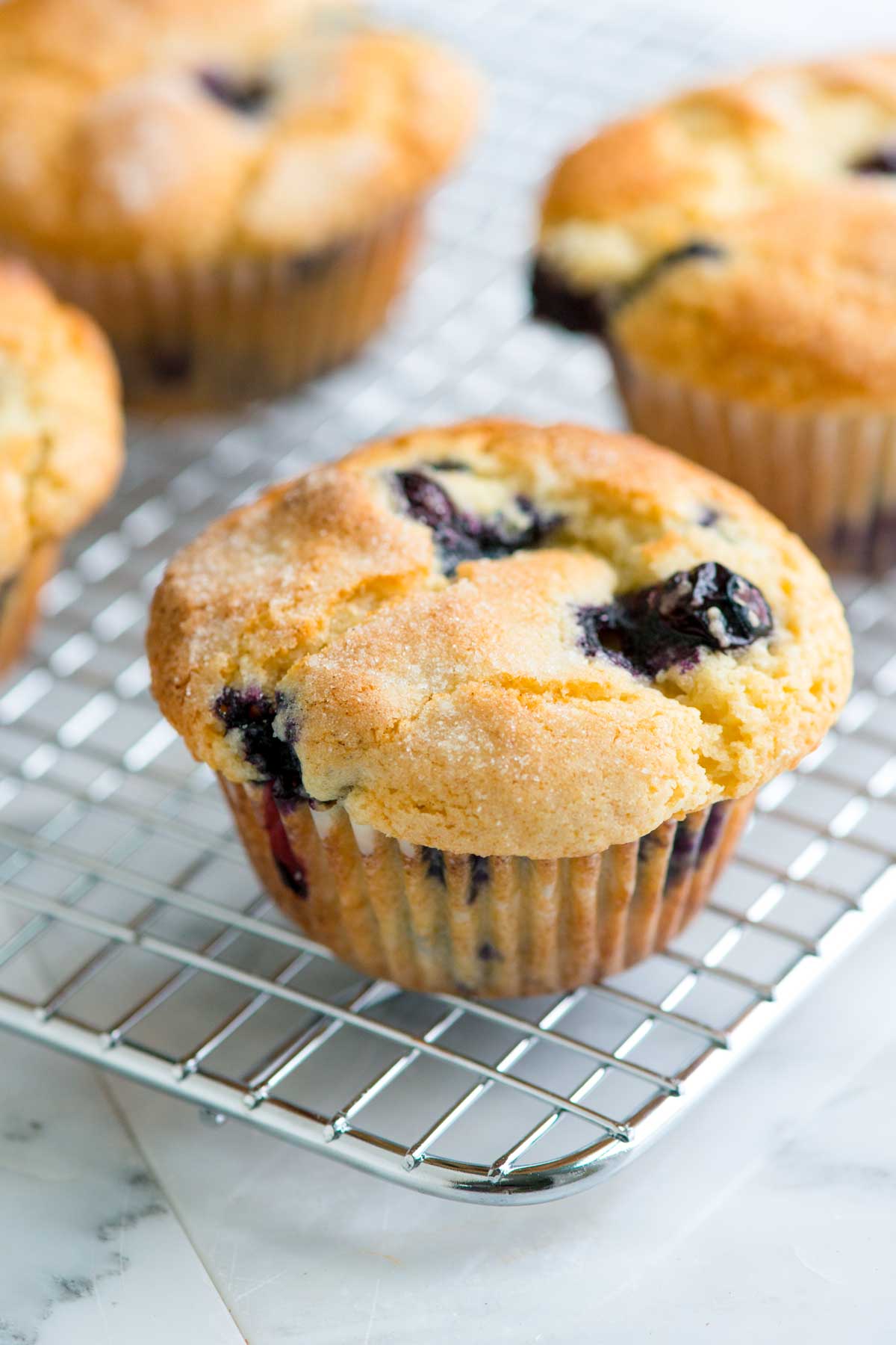 Blueberry Muffin High Quality Background on Wallpapers Vista