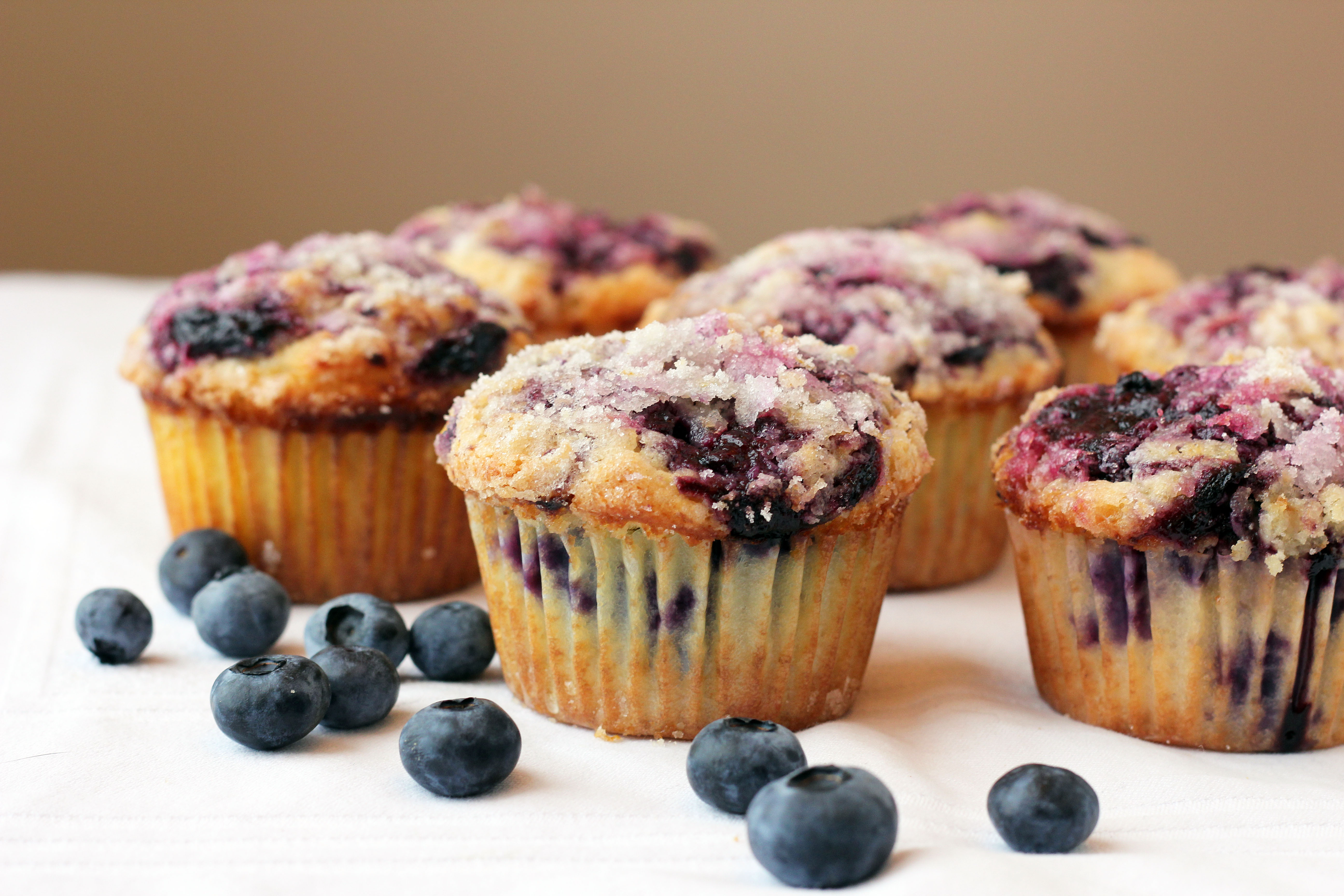 Blueberry Muffin Backgrounds, Compatible - PC, Mobile, Gadgets| 5184x3456 px