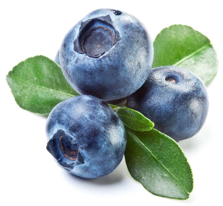 Blueberry Backgrounds on Wallpapers Vista