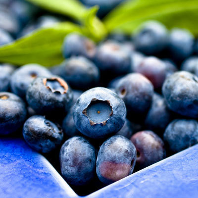 Nice Images Collection: Blueberry Desktop Wallpapers