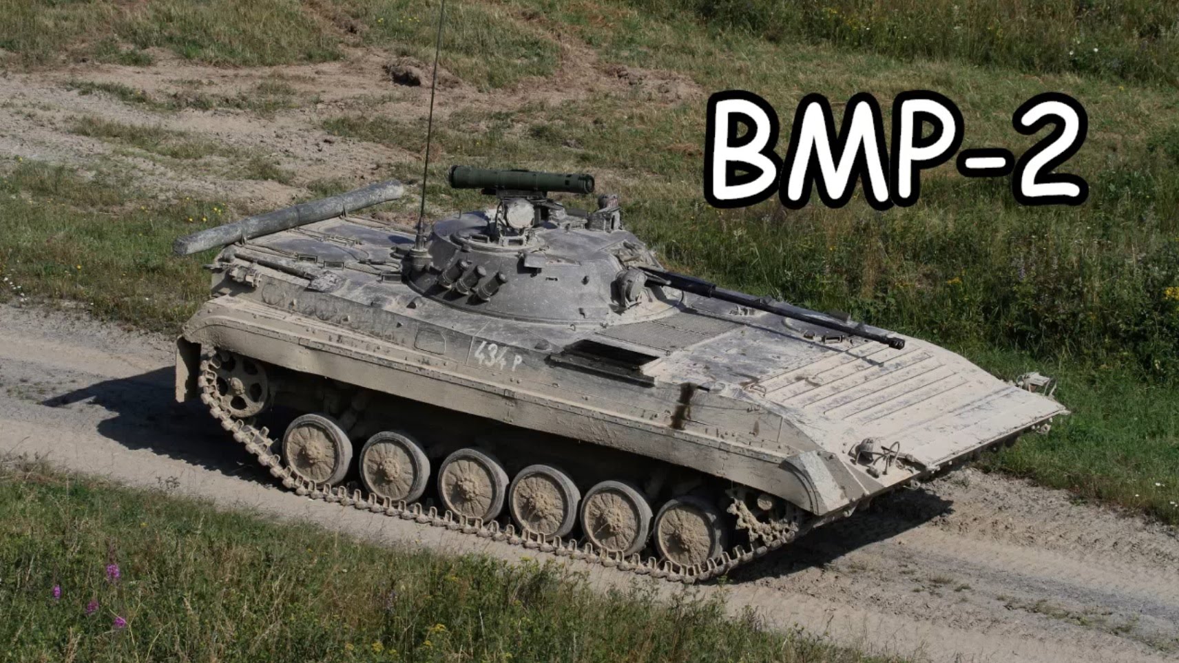 BMP-2 #25