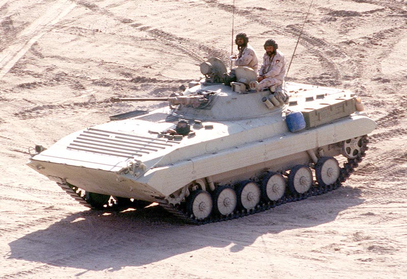 BMP-2 #12