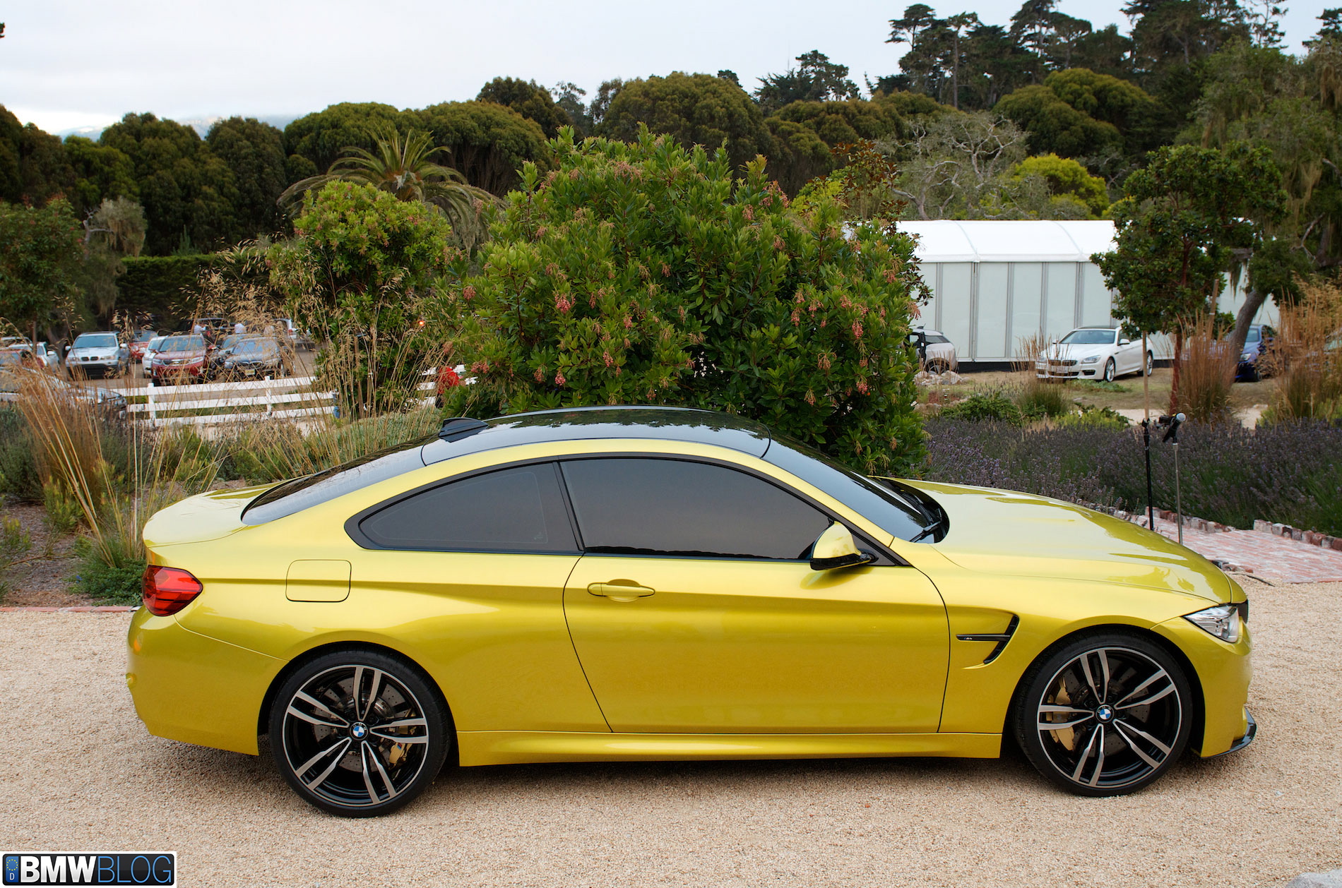 BMW M4 Coupe #10