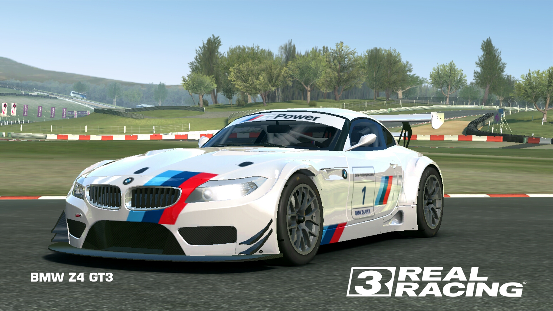 BMW Z4 GT3 #17