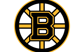 Boston Bruins #15