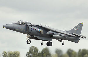 British Aerospace Harrier II #17
