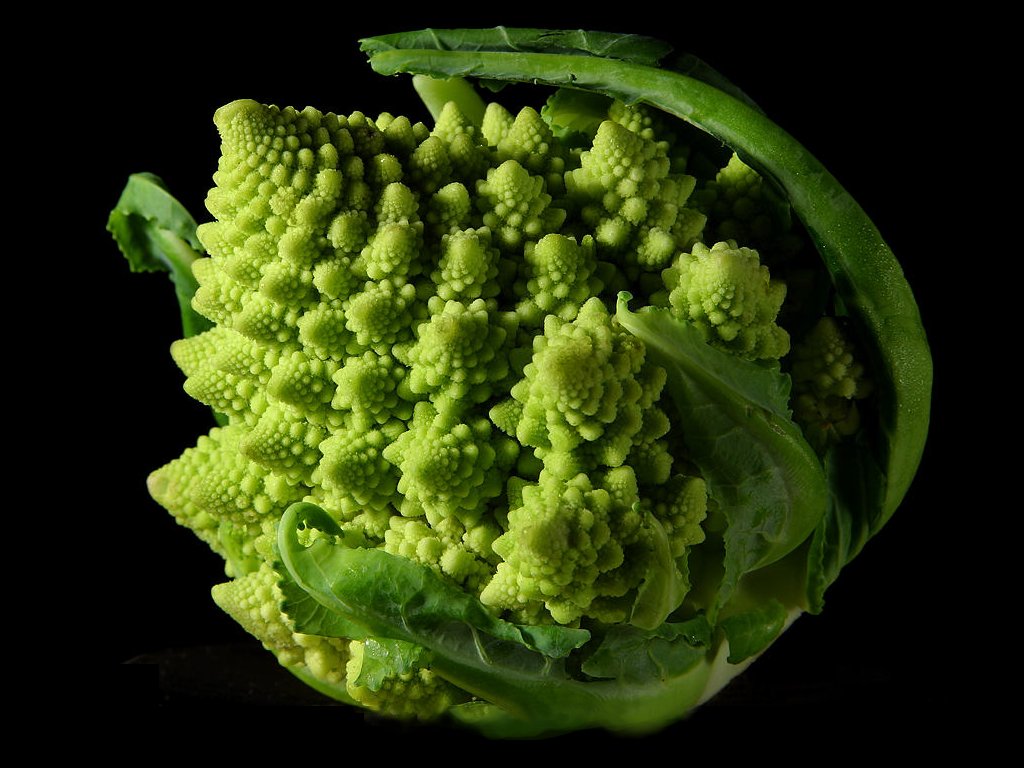 Broccoli High Quality Background on Wallpapers Vista