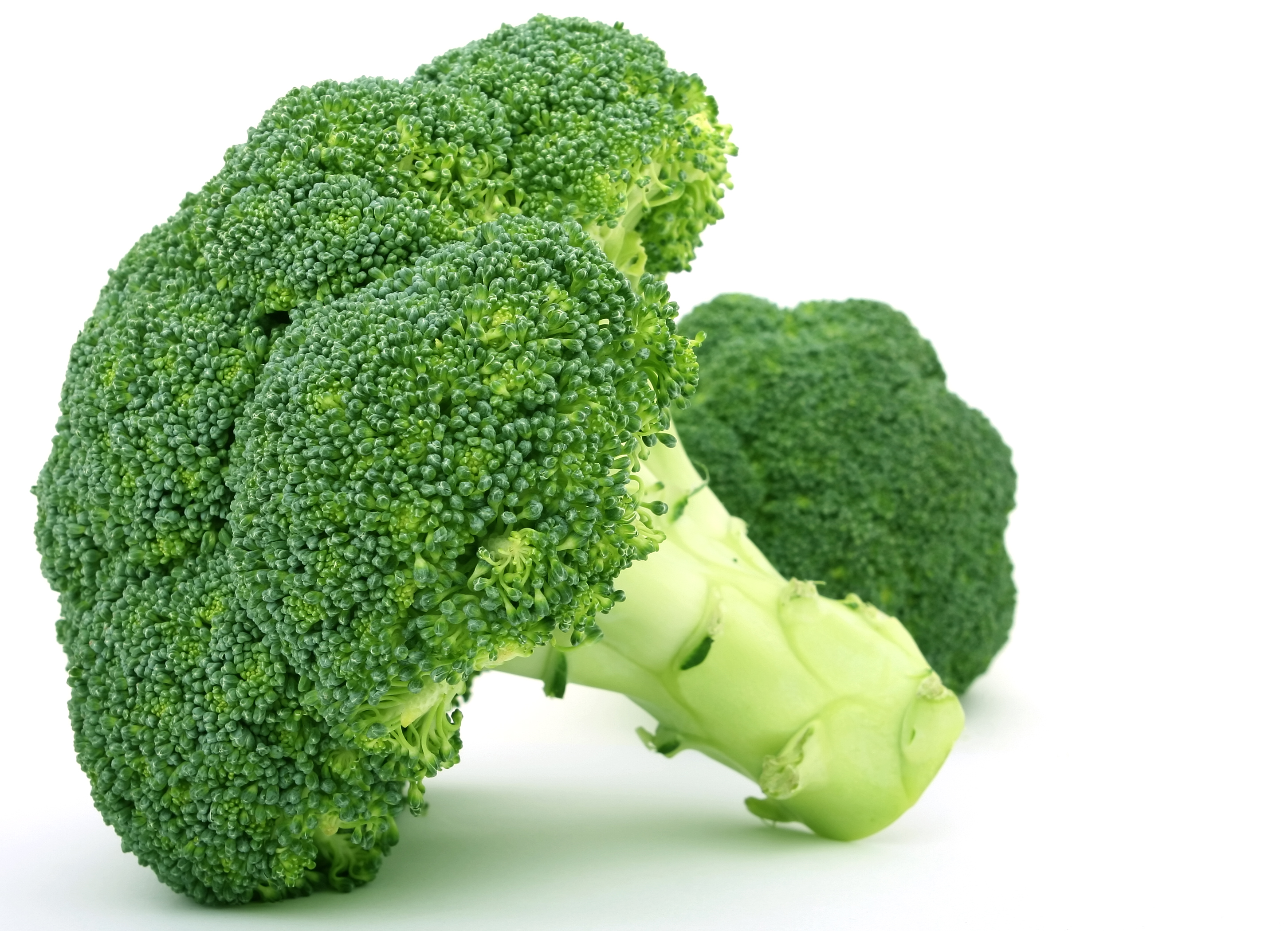 Amazing Broccoli Pictures & Backgrounds