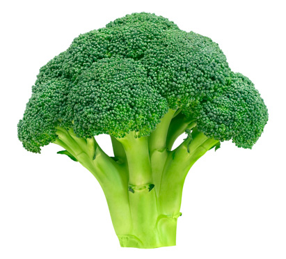 Broccoli Backgrounds on Wallpapers Vista