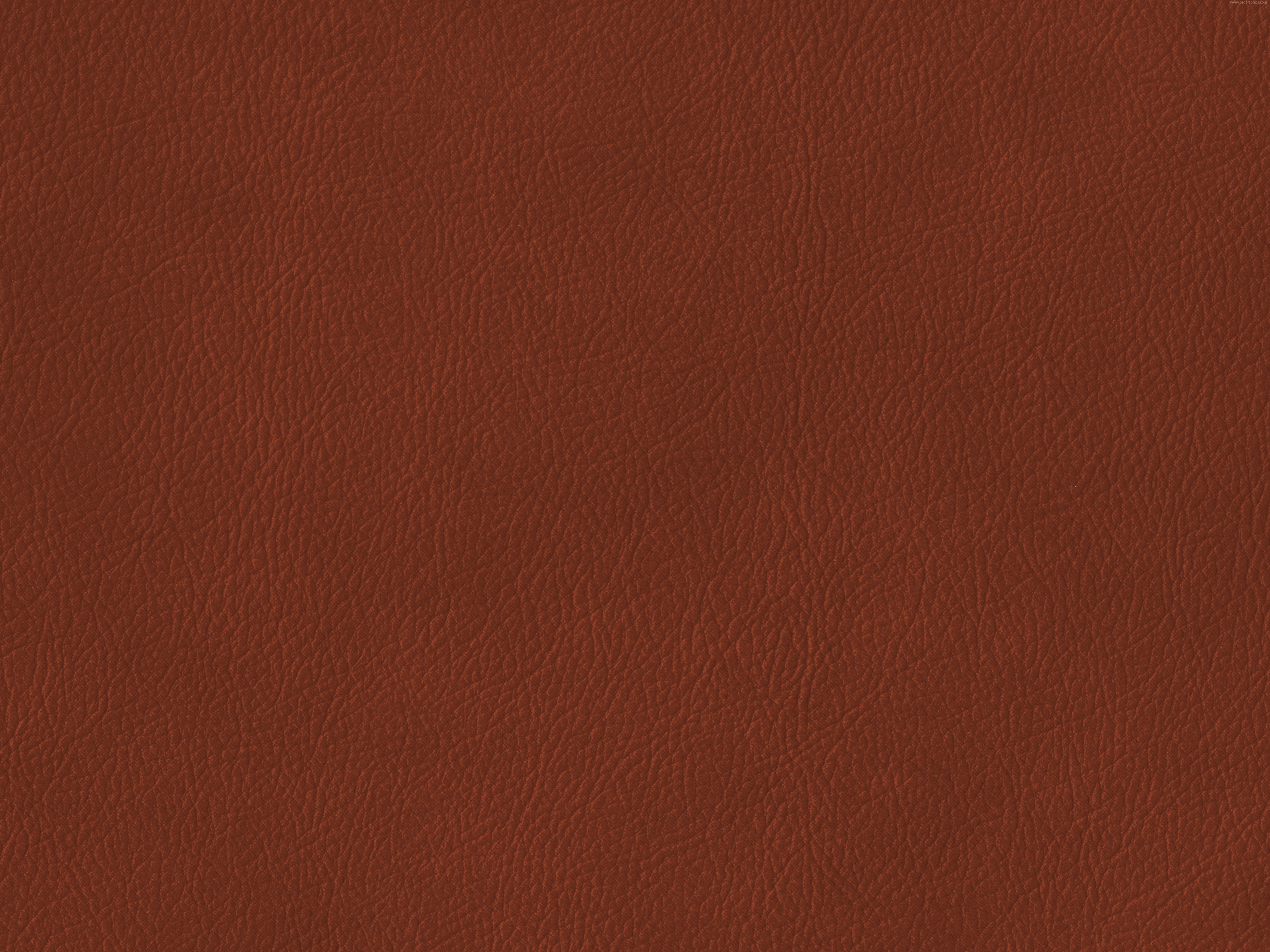 HQ Brown Wallpapers | File 5608.96Kb