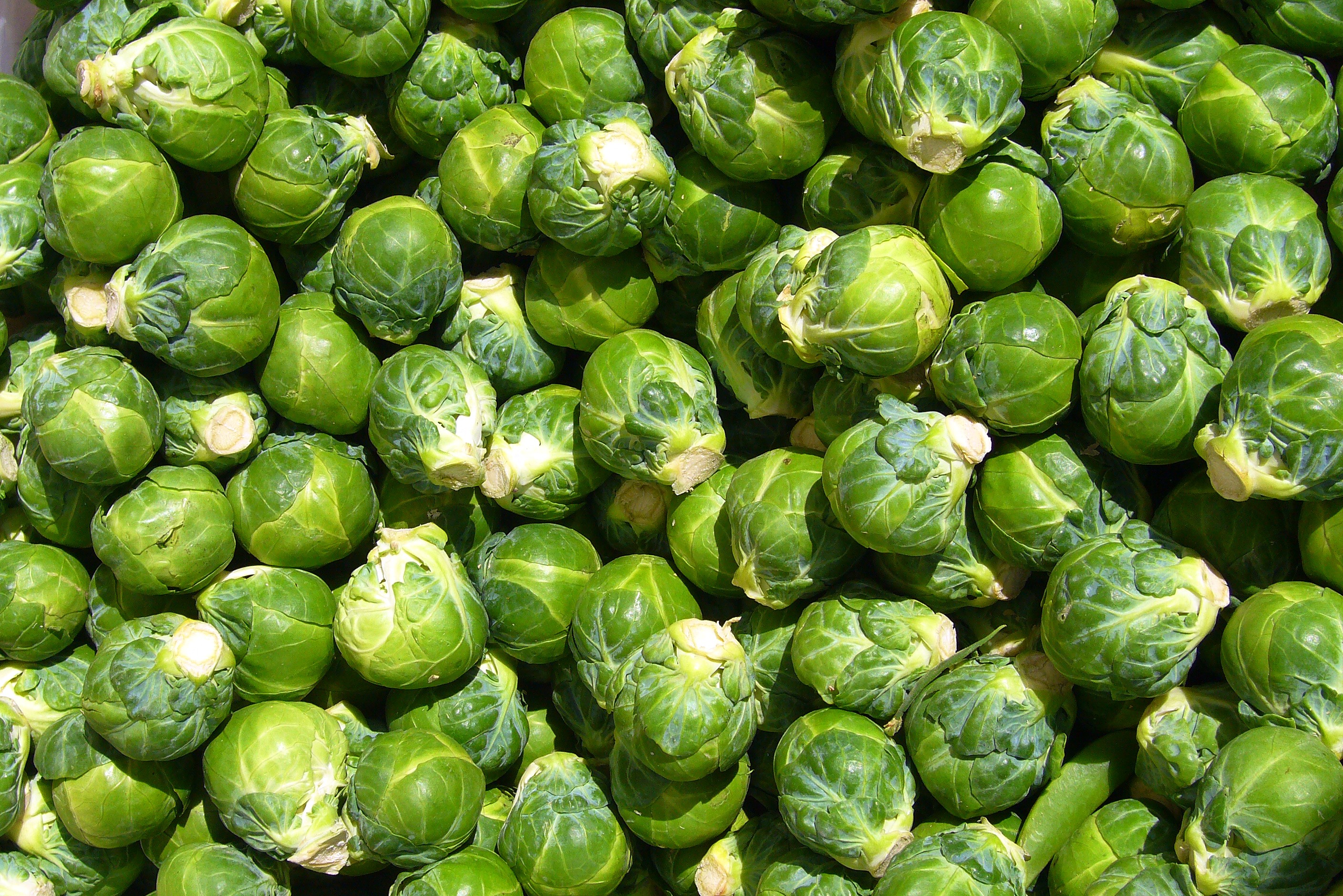 2816x1880 > Brussel Sprout Wallpapers