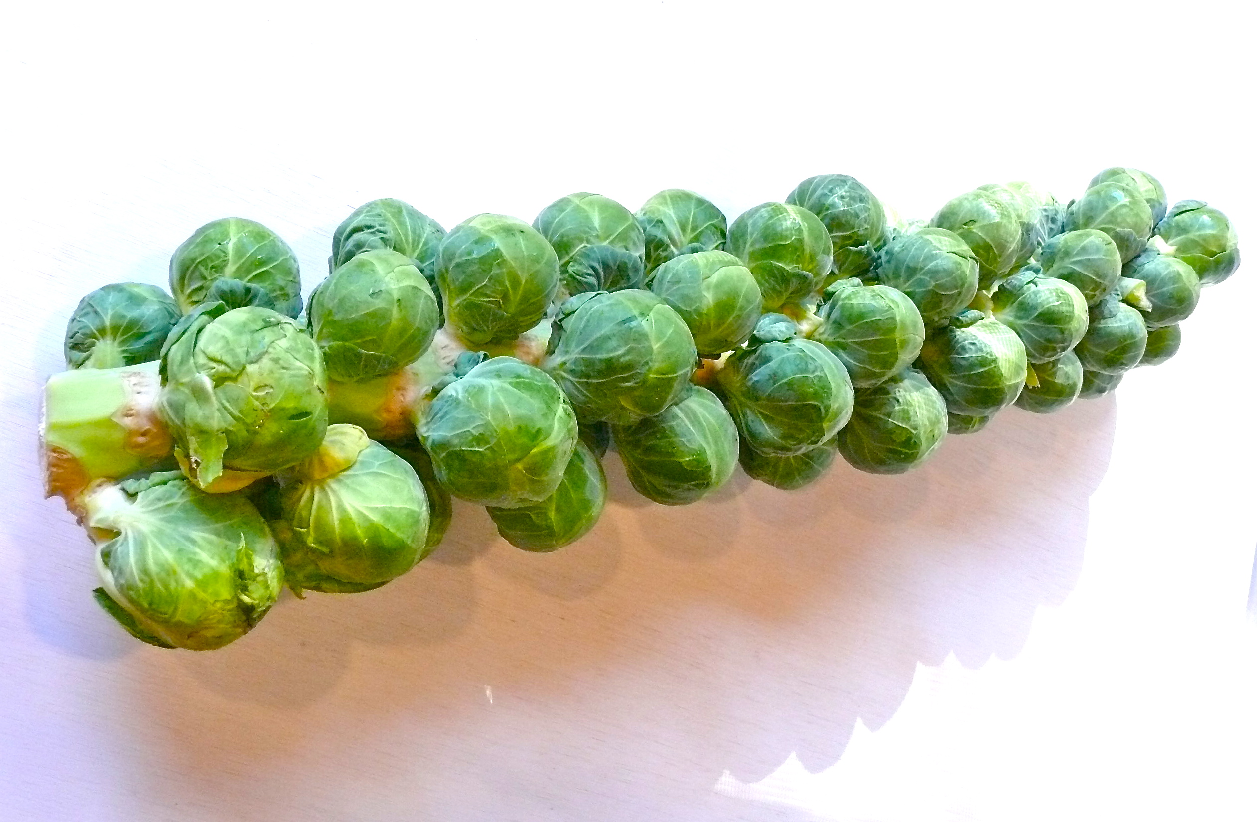Brussel Sprout High Quality Background on Wallpapers Vista