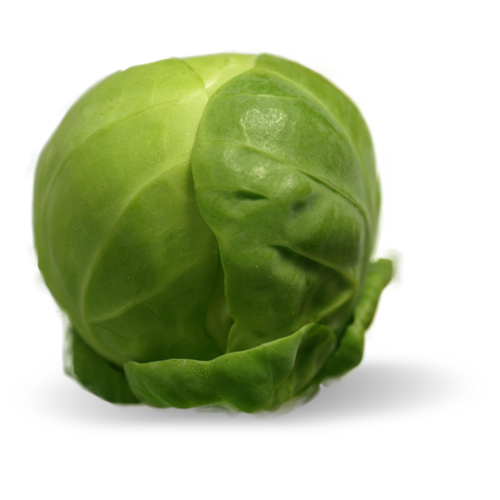 Brussel Sprout Pics, Food Collection