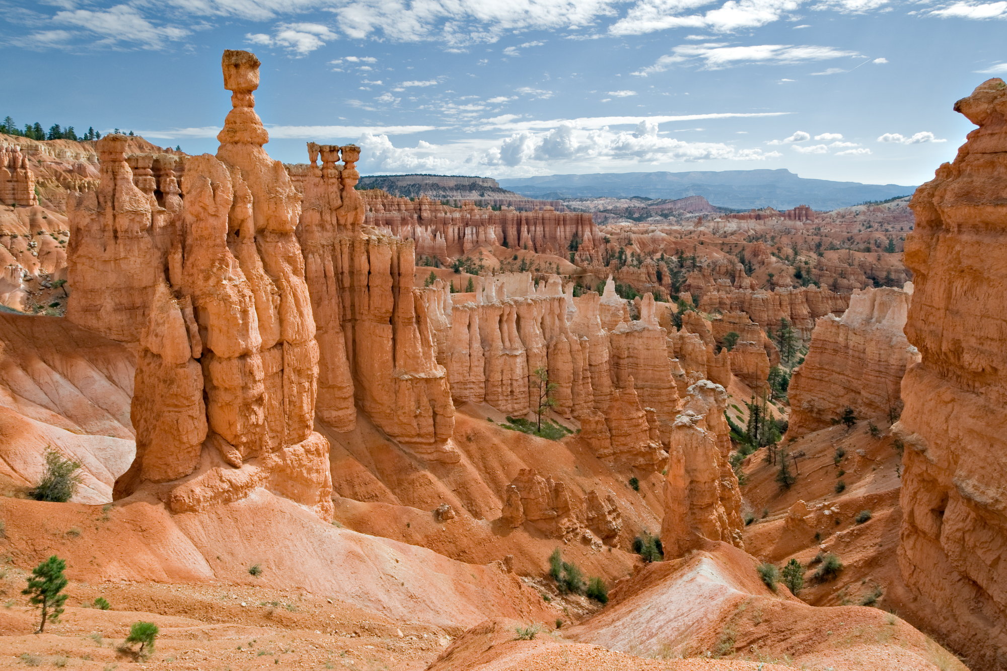 Bryce Canyon National Park #5
