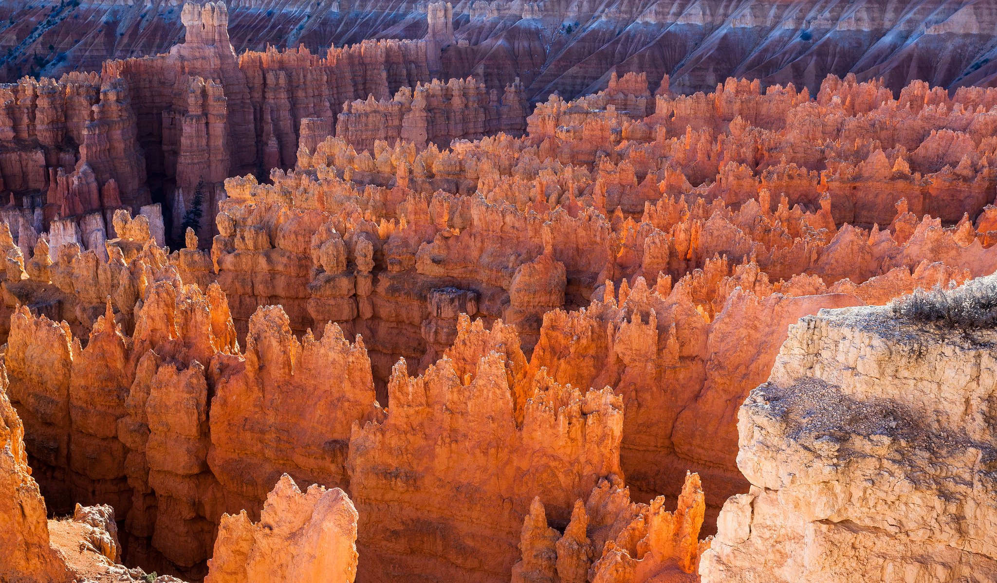 Bryce Canyon National Park #3