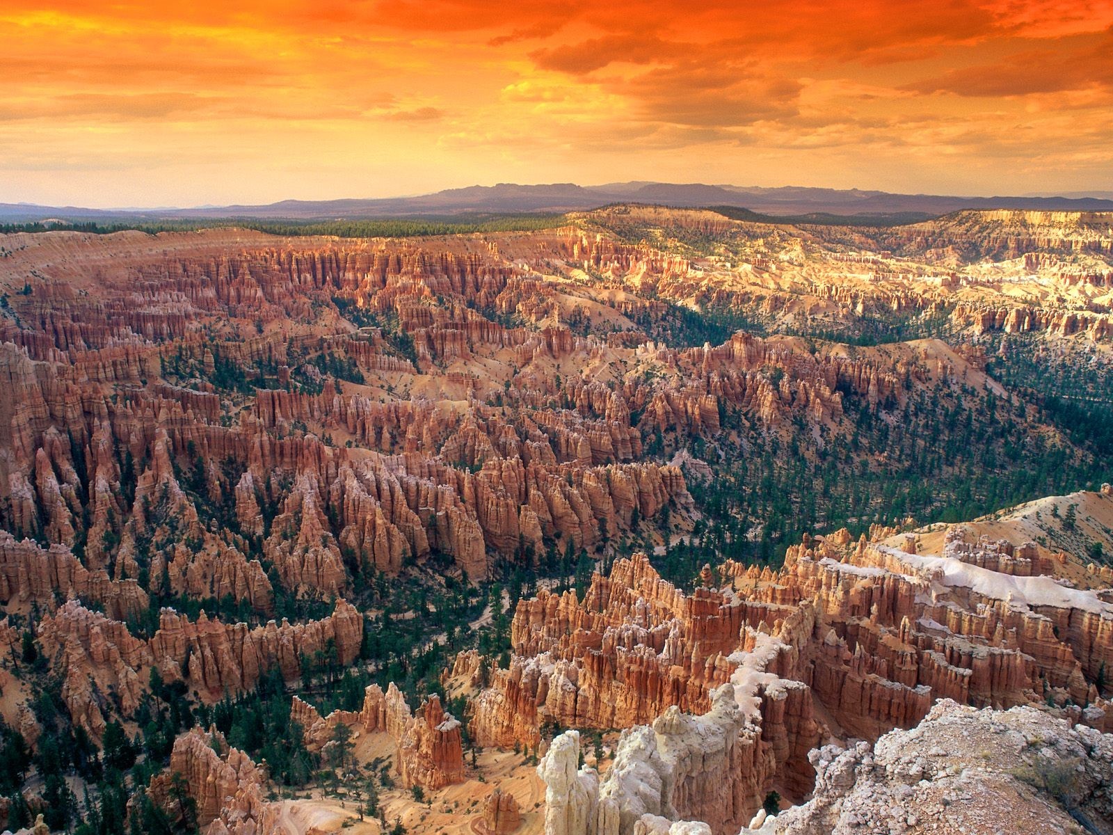 Bryce Canyon National Park #1
