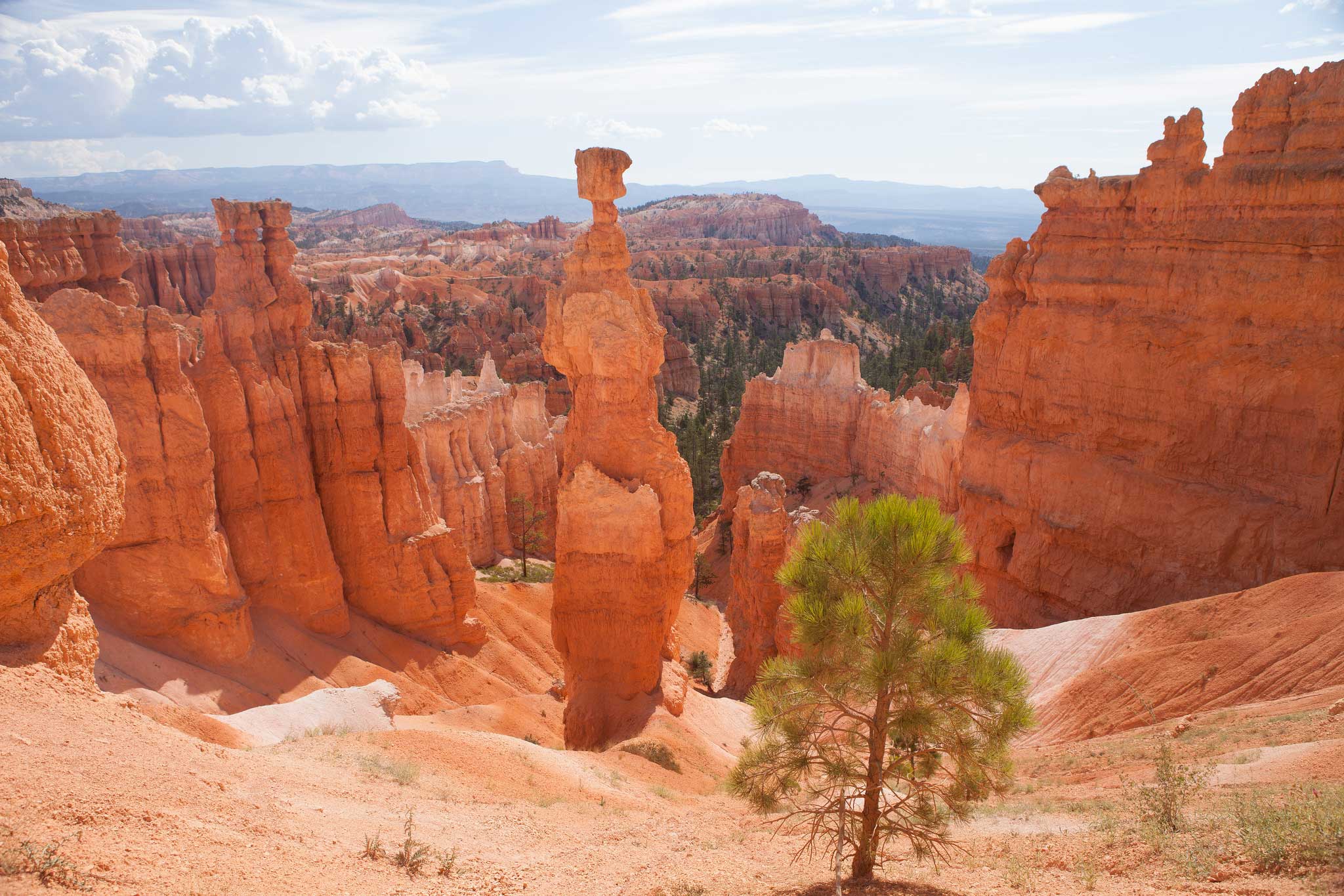 Bryce Canyon National Park #4