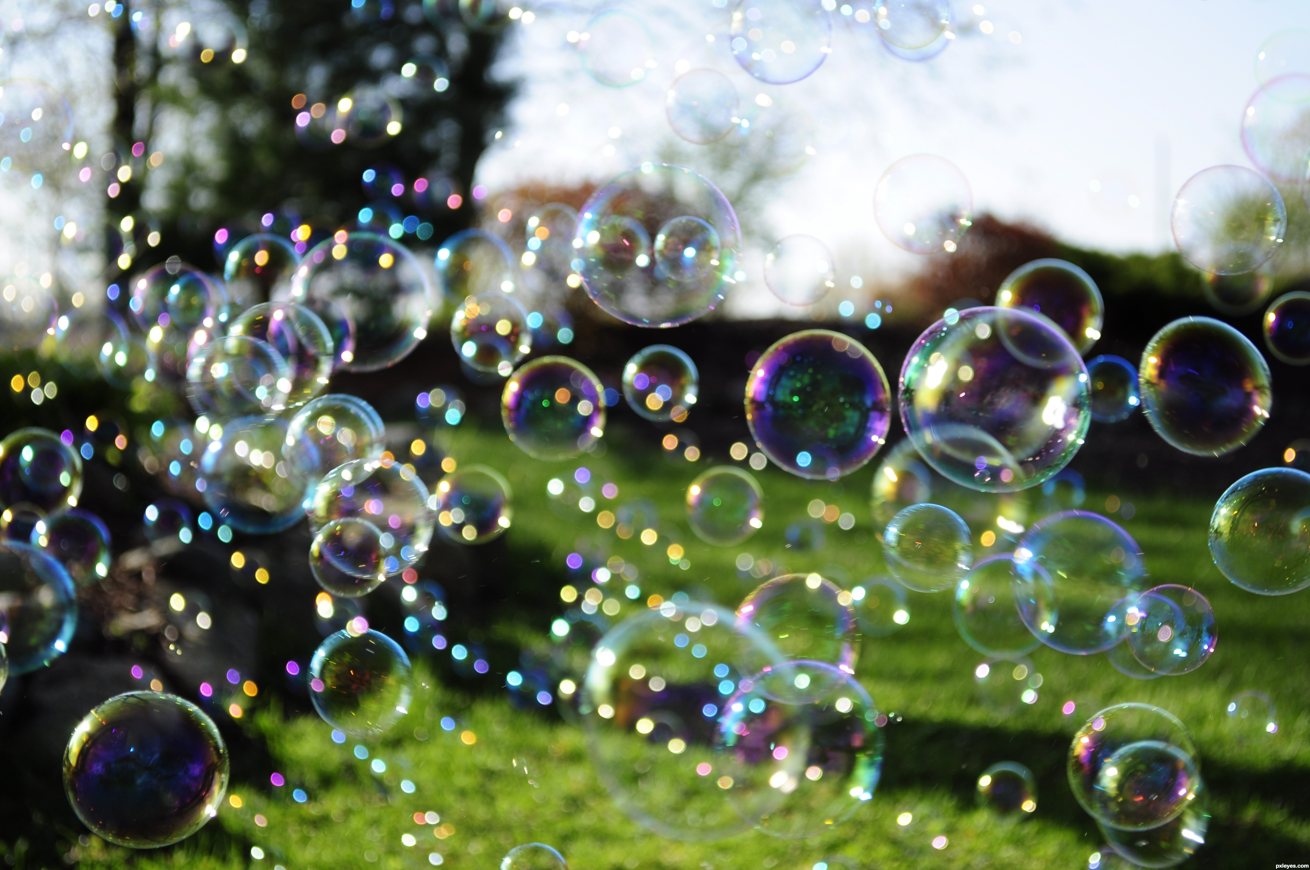 Bubbles. 
