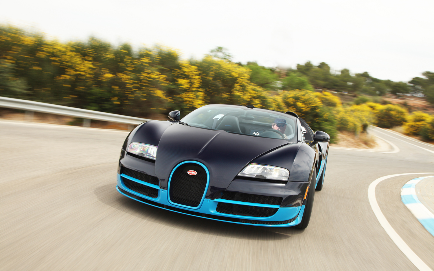 Bugatti Veyron 16.4 Grand Sport #9
