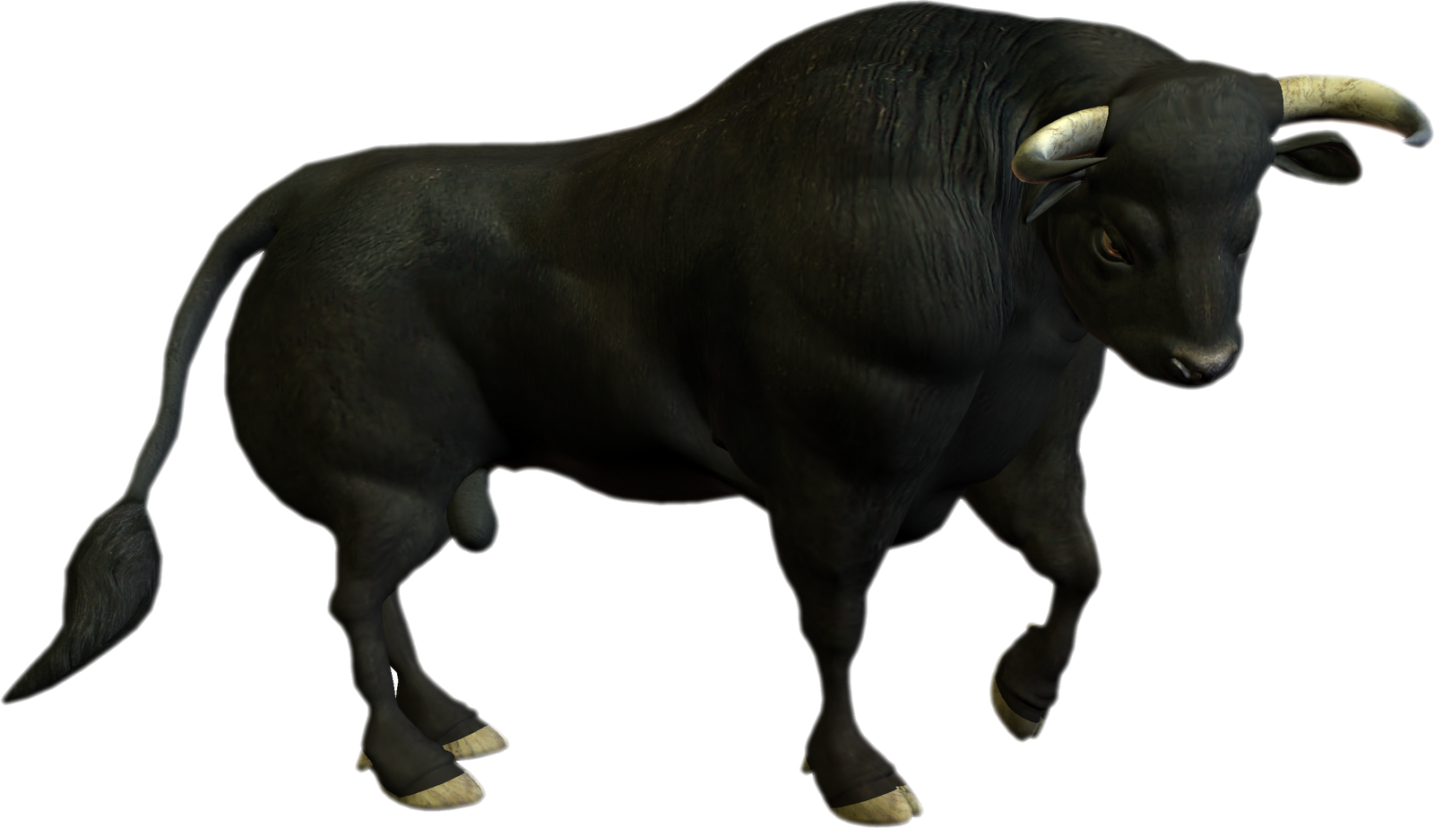 Bull Backgrounds, Compatible - PC, Mobile, Gadgets| 1600x924 px