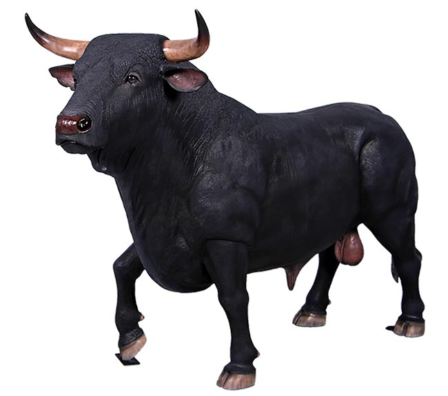 Bull #21