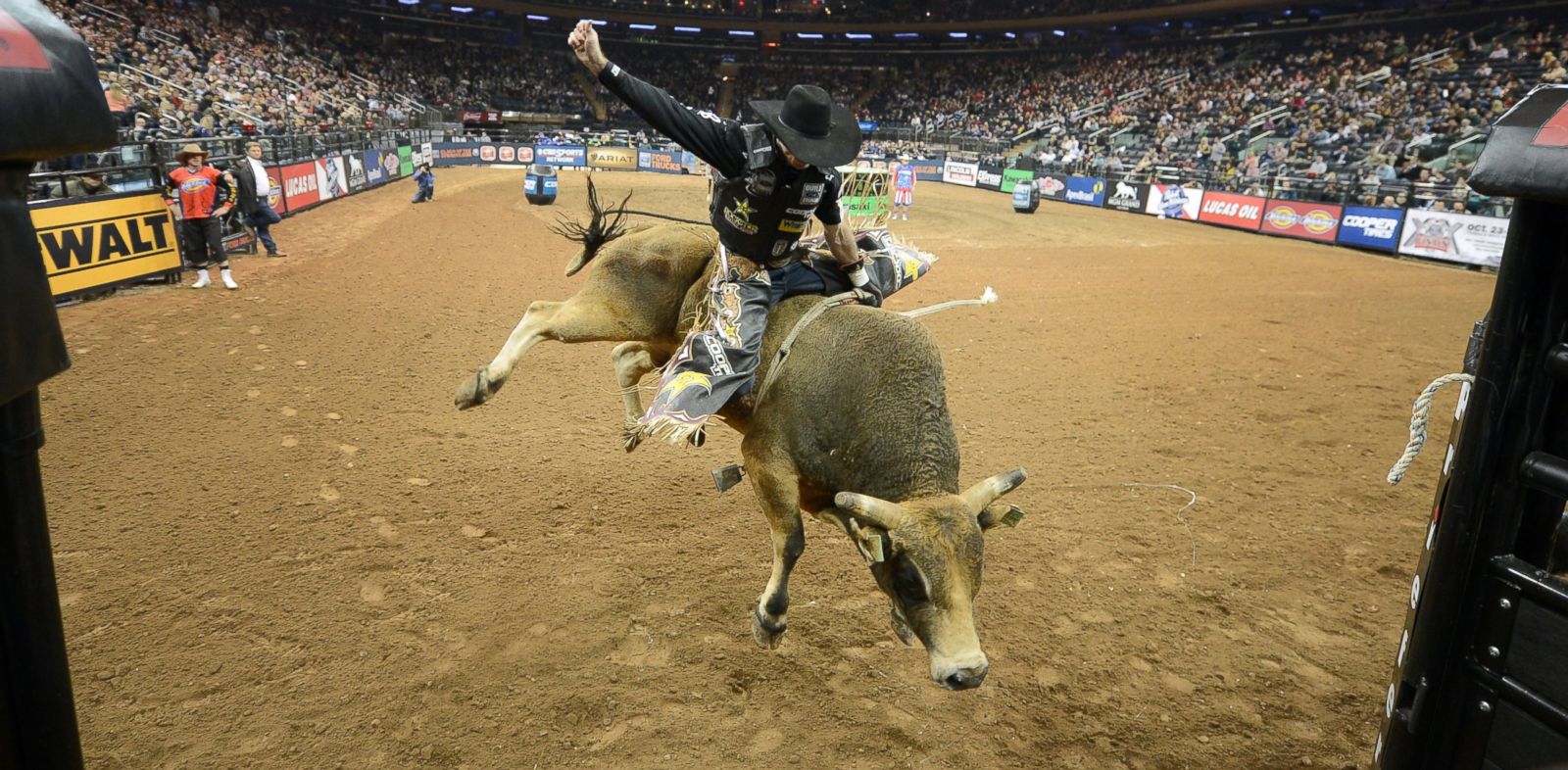 34 best Professional Bull Riding images on Pinterest 