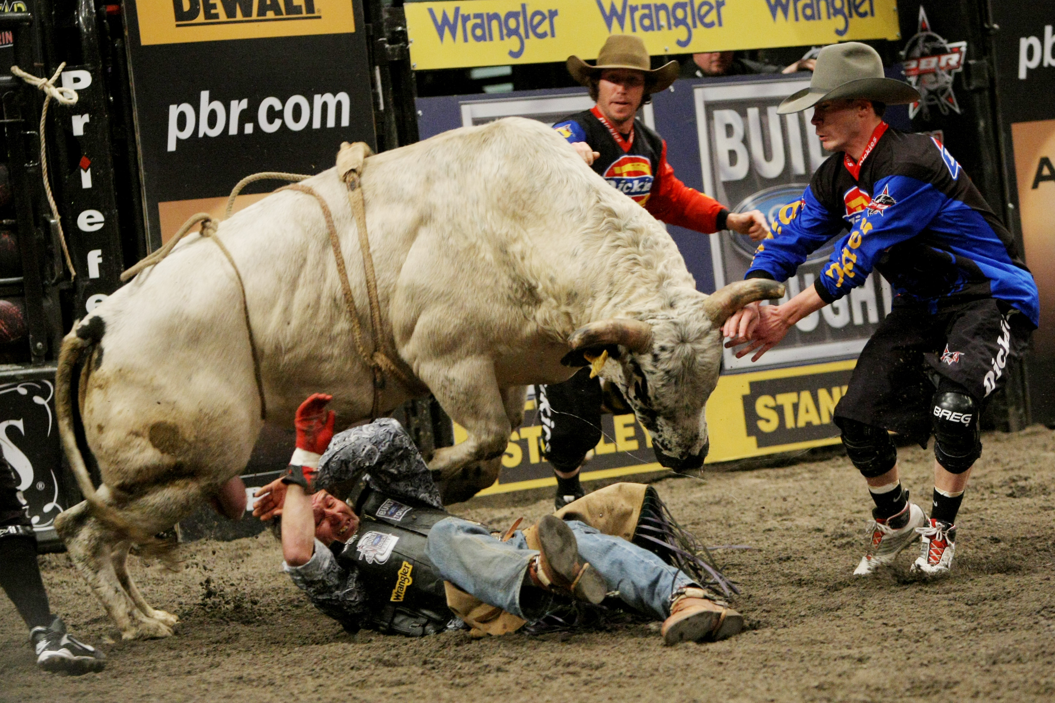 Amazing Bullriding Pictures & Backgrounds