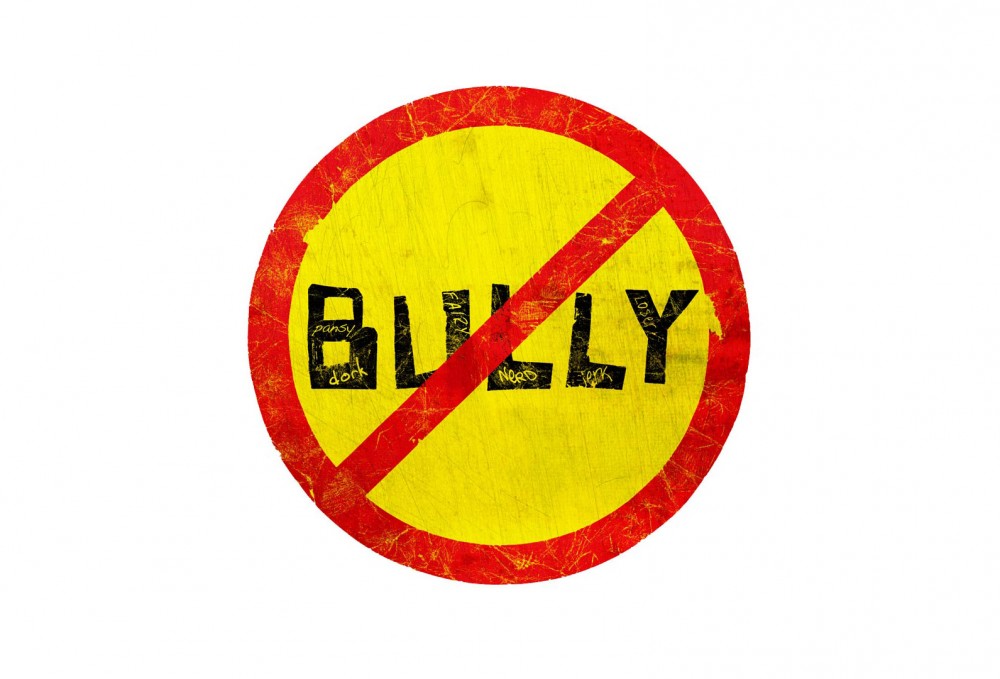 Bully #12