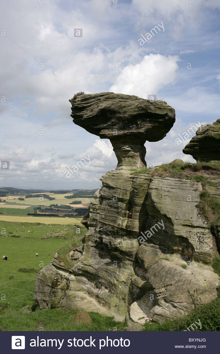Nice wallpapers Bunnet Stane 866x1390px