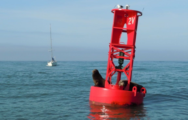Amazing Buoy Pictures & Backgrounds
