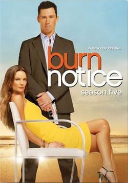 HD Quality Wallpaper | Collection: TV Show, 250x358 Burn Notice