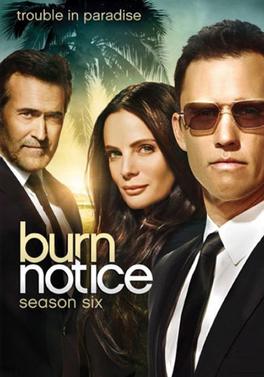 Amazing Burn Notice Pictures & Backgrounds
