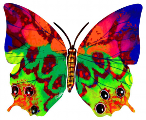 Images of Butterfly | 300x248