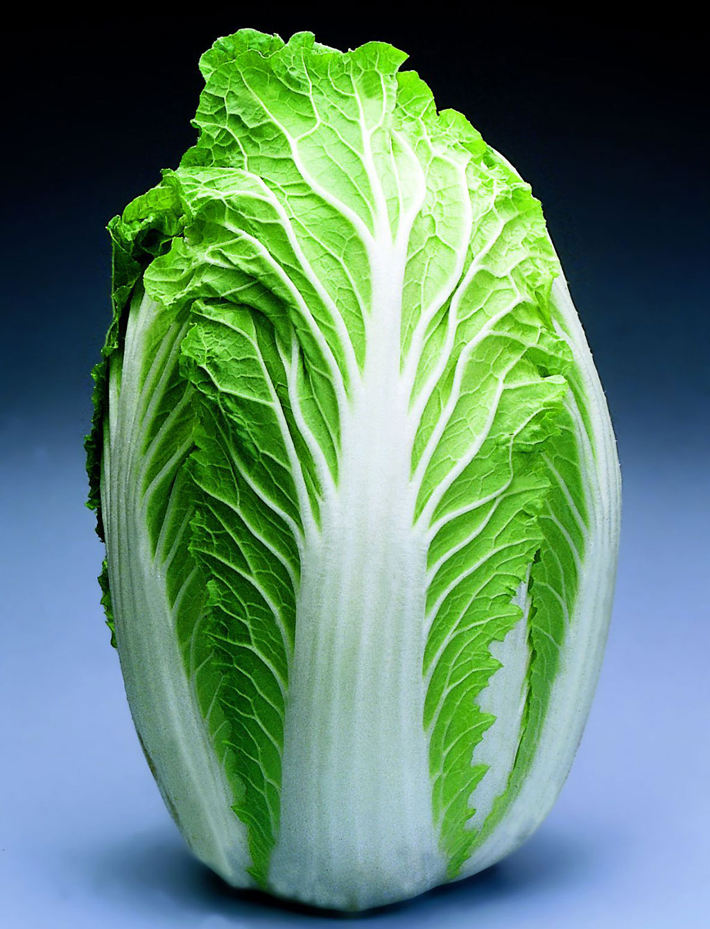 HD Quality Wallpaper | Collection: Food, 1024x1340 Cabbage