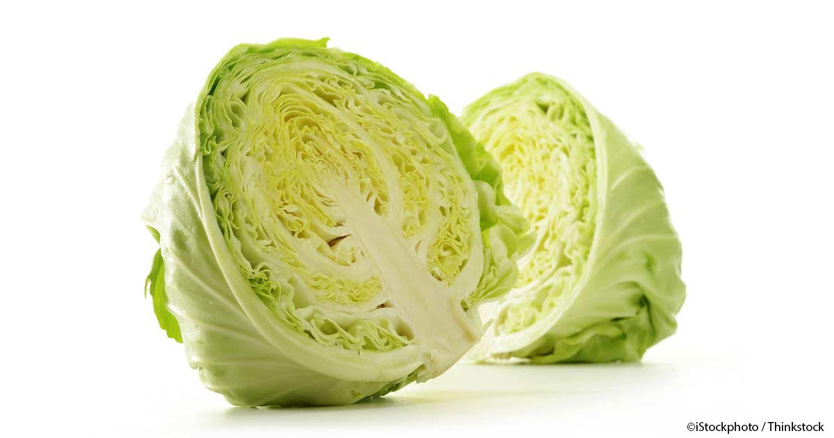 1200x630 > Cabbage Wallpapers