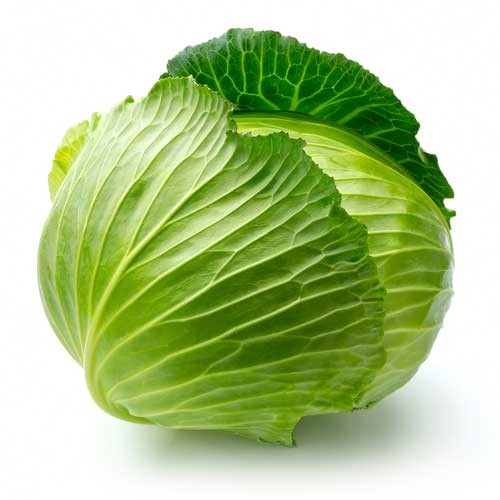 Nice wallpapers Cabbage 500x500px