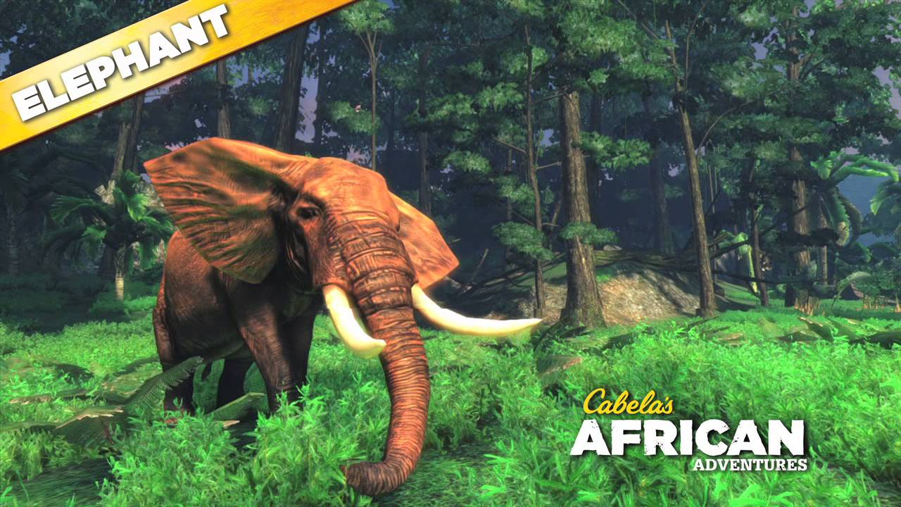 HD Quality Wallpaper | Collection: Video Game, 1280x720 Cabela's African Adventures
