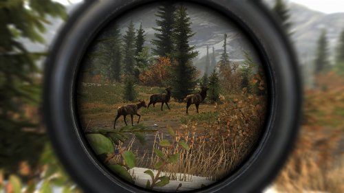 Cabela's Big Game Hunter: Pro Hunts HD wallpapers, Desktop wallpaper - most viewed