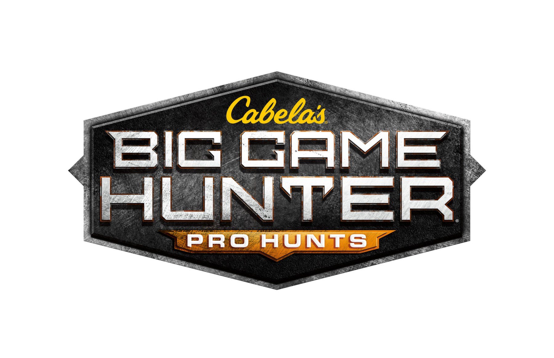 Cabela's Big Game Hunter: Pro Hunts #12